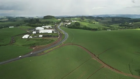 Flying over beautiful green corn fields. Agriculture. Stock Footage 234454295