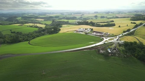 Flying over beautiful green corn fields and trees at amazing light. Stock Footage 234457163