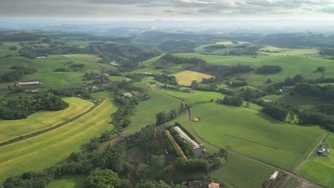 Flying over beautiful green fields and trees at amazing light. Stock Footage 234454869