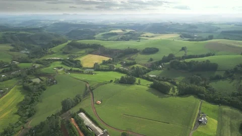 Flying over beautiful green fields and trees at amazing light. Stock Footage 234455414