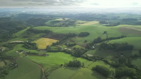 Flying over beautiful green fields and trees at amazing light. Stock Footage 234456641