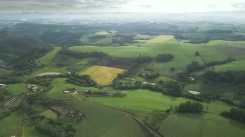 Flying over beautiful green fields and trees at amazing light. Stock Footage 234456784