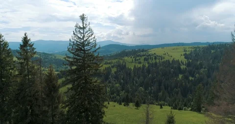 Flying over a beautiful green forest in a mountain landscape Stock Footage 128697151