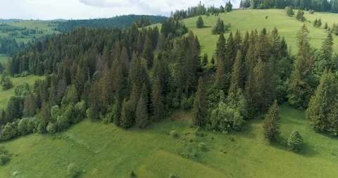 Flying over a beautiful green forest in a mountain landscape Stock Footage 128697195