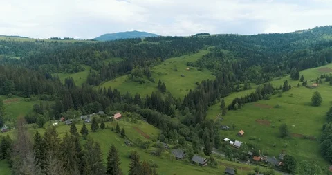 Flying over a beautiful green forest in a mountain landscape Stock Footage 128697230
