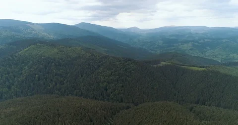 Flying over a beautiful green forest in a mountain landscape Stock Footage 128697311