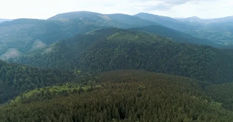 Flying over a beautiful green forest in a mountain landscape Stock Footage 128697349