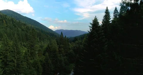Flying over a beautiful green forest in a mountain landscape Stock Footage 128698422