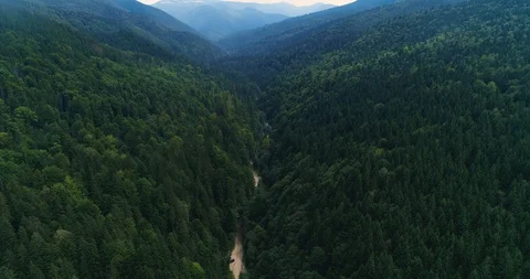 Flying over a beautiful green forest in a mountain landscape Stock Footage 128698476