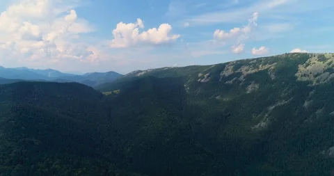 Flying over a beautiful green forest in a mountain landscape Stock Footage 128698560