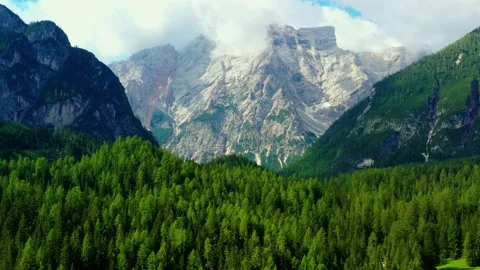 Flying over beautiful green pine tree forest with mountains in background, in Sw Video stock 137942721