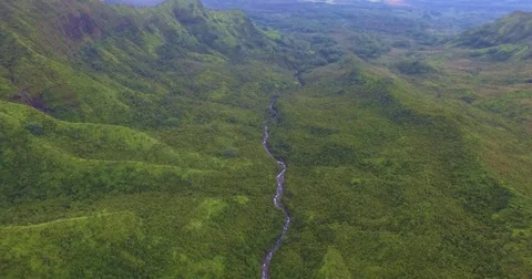 Flying over Beautiful Jungle River | Aerial Hawaii Stock Footage 83837852