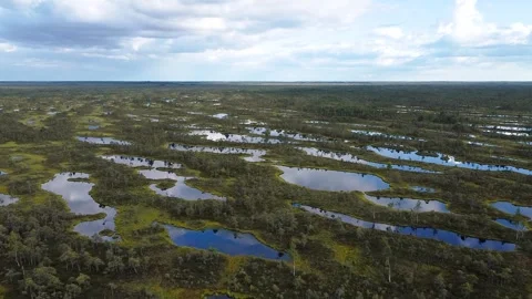 Flying over a beautiful marshy area Stock Footage 256323836