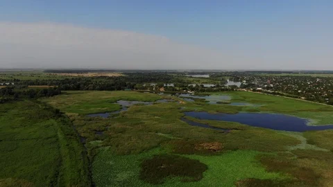 Flying over the beautiful meadow. Stock Footage 118163594