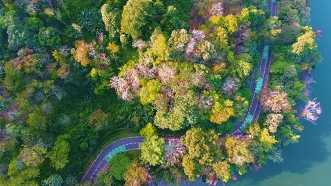 Flying over the beautiful mountain and beautiful forest. Aerial camera shot. Видео 72774622