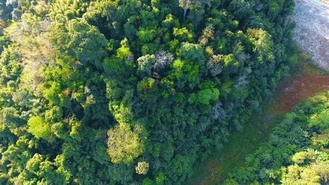 Flying over the beautiful mountain and beautiful forest Video stock 72855828