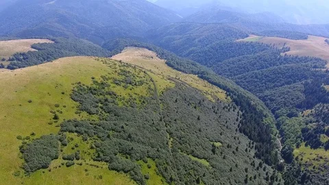 Flying over the beautiful mountain with forest. Aerial view Stock Footage 80248582