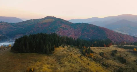 Flying over beautiful mountain forest in Carpathian mountains in autumn at Stock Footage 139461615