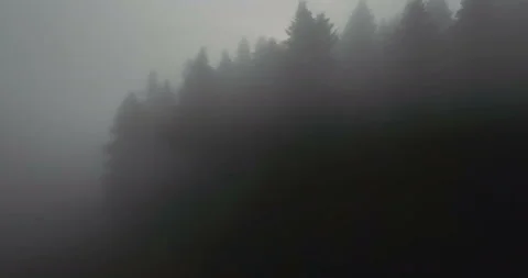 Flying over beautiful mountain forest and fog in Carpathian mountains at sunrise Stock Footage 139478251