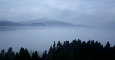 Flying over beautiful mountain forest and fog in Carpathian mountains at dawn Stock Footage 139550908