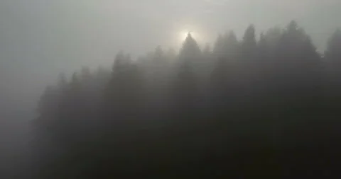 Flying over beautiful mountain forest and fog in Carpathian mountains at sunrise Stock Footage 139550948