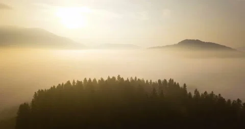 Flying over beautiful mountain forest and fog in Carpathian mountains at sunrise Stock Footage 139551085