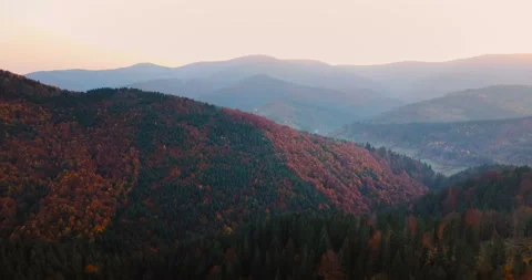 Flying over beautiful mountain forest in Carpathian mountains in autumn at Stock Footage 139726834