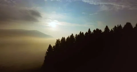 Flying over beautiful mountain spruce forest and the valley is filled with fog Stock Footage 139551289