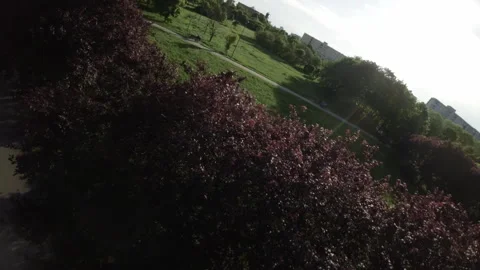 Flying Over a Beautiful Park with Trees, a Path, and a Bench Stock Footage 276604388
