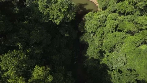 Flying over beautiful rainforest and waterfall in Brazil. Stock Footage 233105307