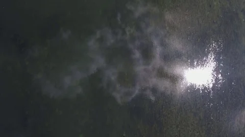 Flying over the beautiful River and beautiful forest. Video stock 82070715