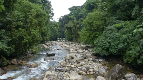 Flying over a beautiful river with large boulders in a tropical forest Stock Footage 151281943