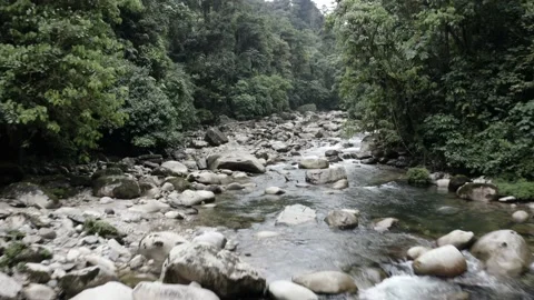Flying over a beautiful river with large boulders in a tropical forest Stock Footage 151281998