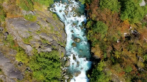 Flying over a beautiful river running through a forest Stock Footage 166951348