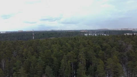 Flying over a beautiful spring forest. High-Quality Aerial Drone Stock Footage