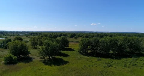 Flying over the beautiful summer trees about river. 스톡 동영상 93995603