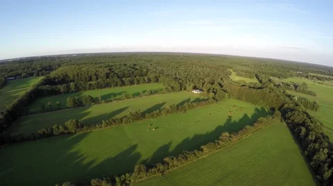 Flying over beautiful view of the green fields below and the treeline 4k Stock Footage 54046642