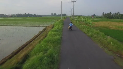 Flying over beautiful&amp;green rice fields Stockbeeldmateriaal 106546882