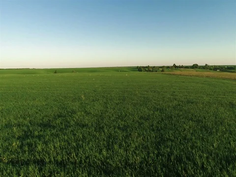 Flying Over Big Green Field 動画素材 79074126