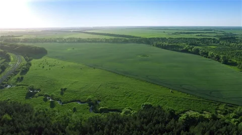 Flying Over Big Green Fields in Evening Video stock 51445420