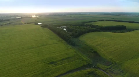 Flying Over Big Green Fields in Evening 스톡 동영상 58801188