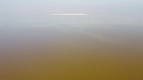 Flying over birds Stock Footage 306457425