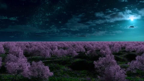 Flying over blooming trees - pink Видео 339446147