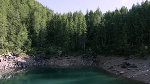 Flying over a blue alpine lake with an evergreen pine forest in the Background Vidéo 250018676