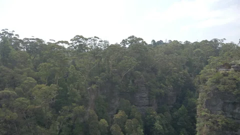 Flying over Blue Mountains Forest in Katoomba area, Australia 4K Stock-Footage 131275617