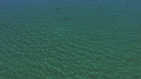 Flying over the blue sea surface in the azure lagoon. Tropical sea. Travel Stock Footage 100971791