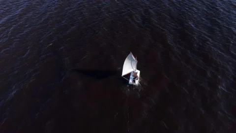 Flying over a boat with a sail Stock Footage 154948776