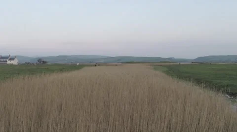 Flying Over Borth Bog  库存影片 65394219