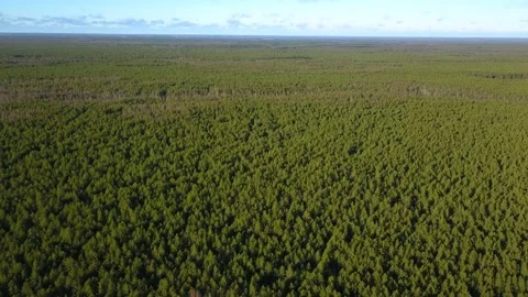 Flying over the boundless Siberian taiga that stretches beyond the Urals Stock Footage 166130636