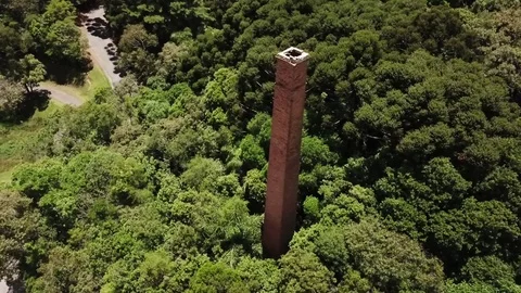 FLYING OVER BRAZILIAN FOREST Stock Footage 84069813